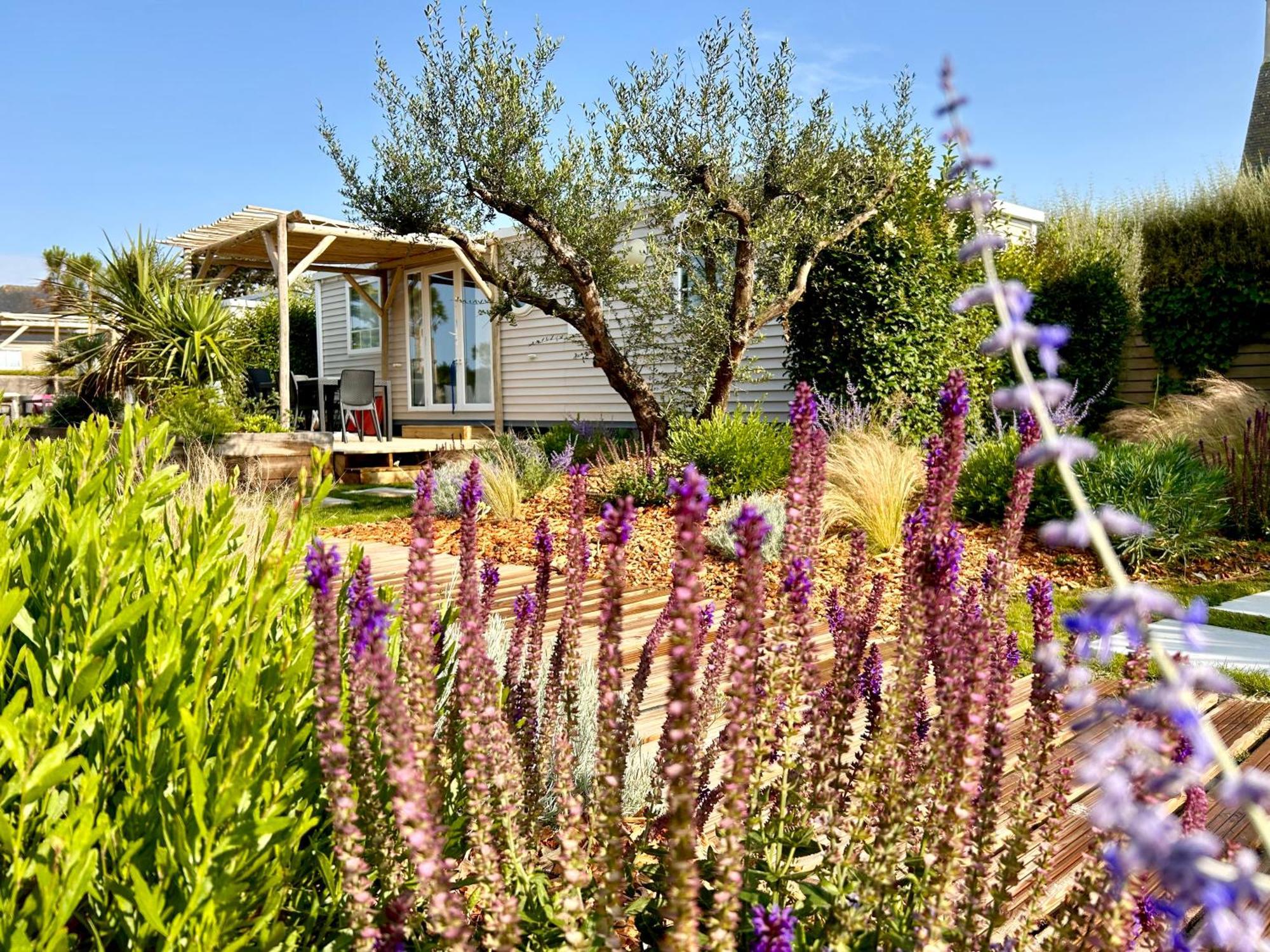 Camping De La Cote Des Legendes Brignogan-Plages Eksteriør billede
